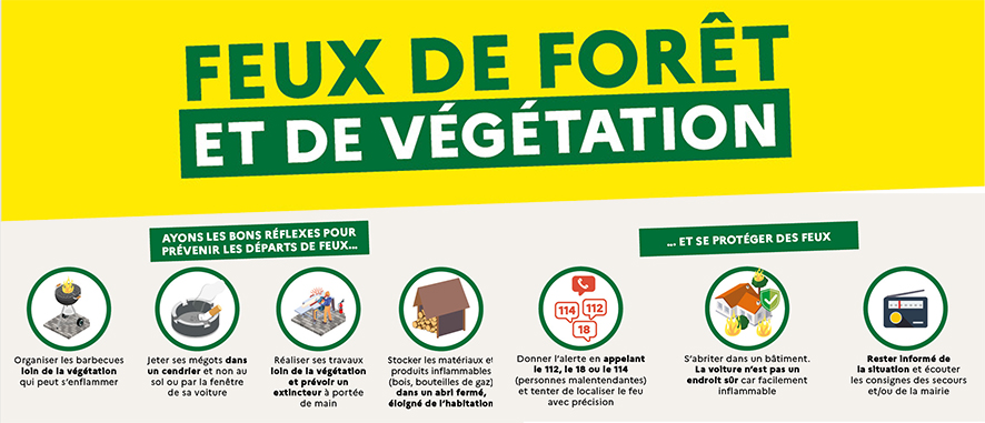 Feux de forêt